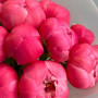 11 коралловых пионов фото 2